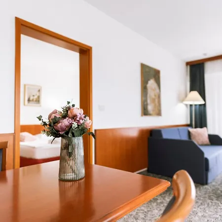 Toplice - Terme Catez Catez ob Savi